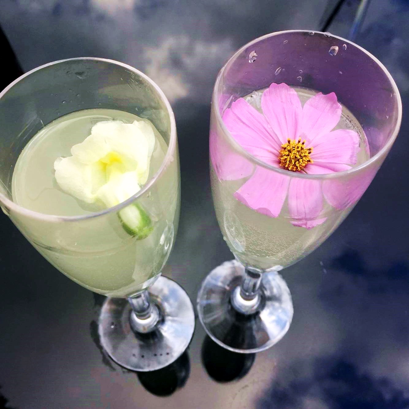 bloom gin terrace rosylee manchester