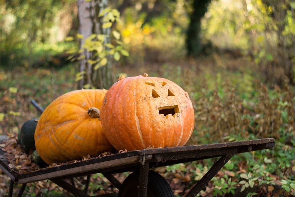 What to do for Halloween in Manchester 2016 pumpkin