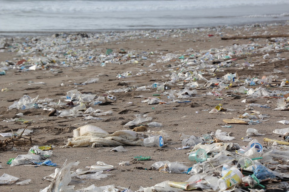 plastic waste beach