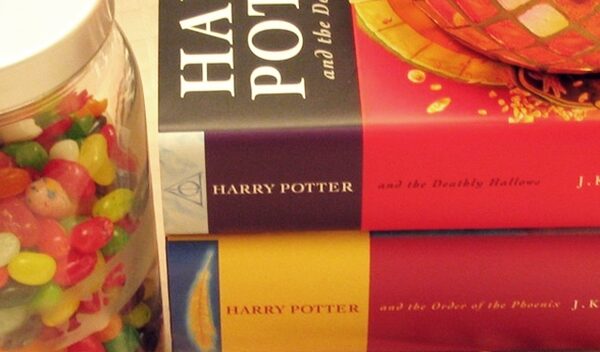 harry potter fashion accessories